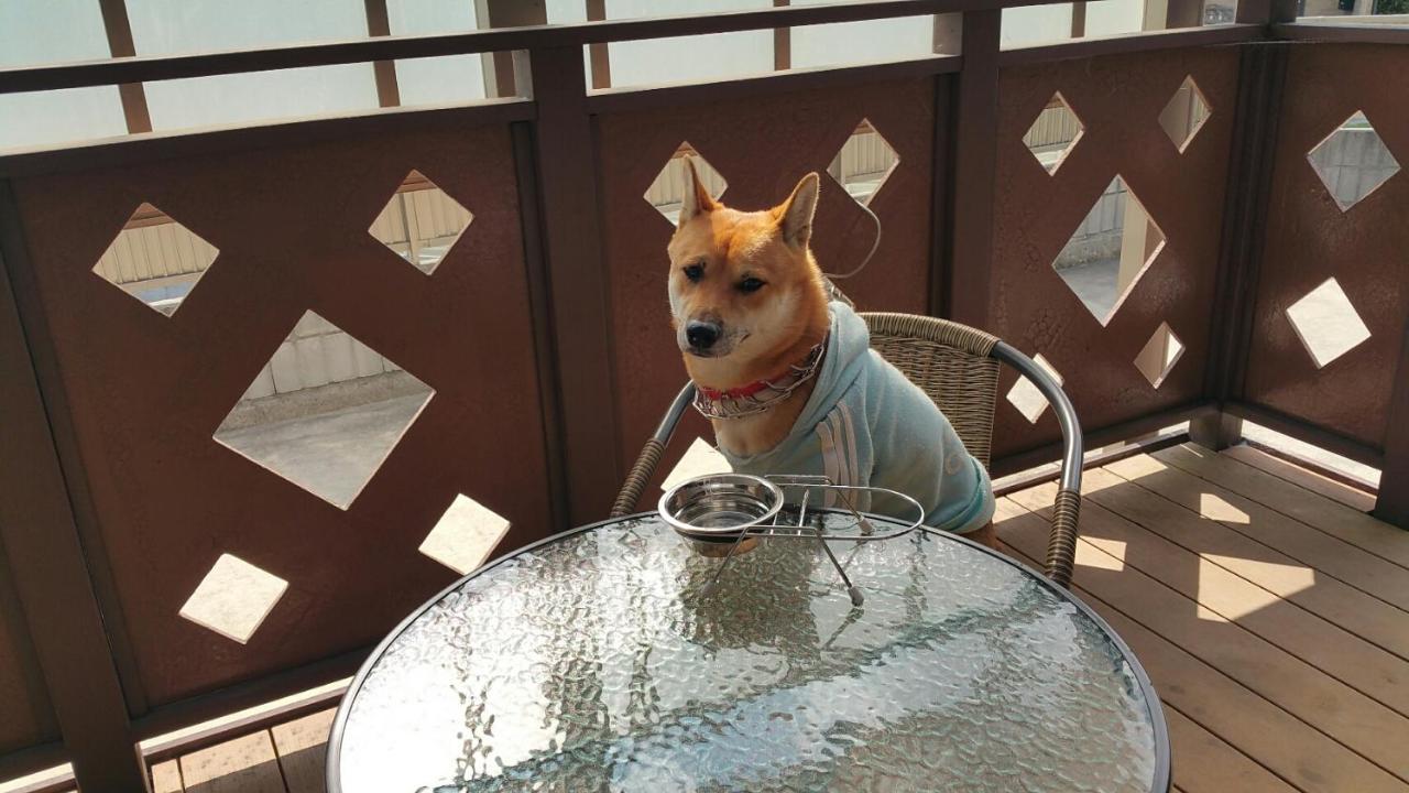 Tiz Wan 中田あわじ Apartment Awaji